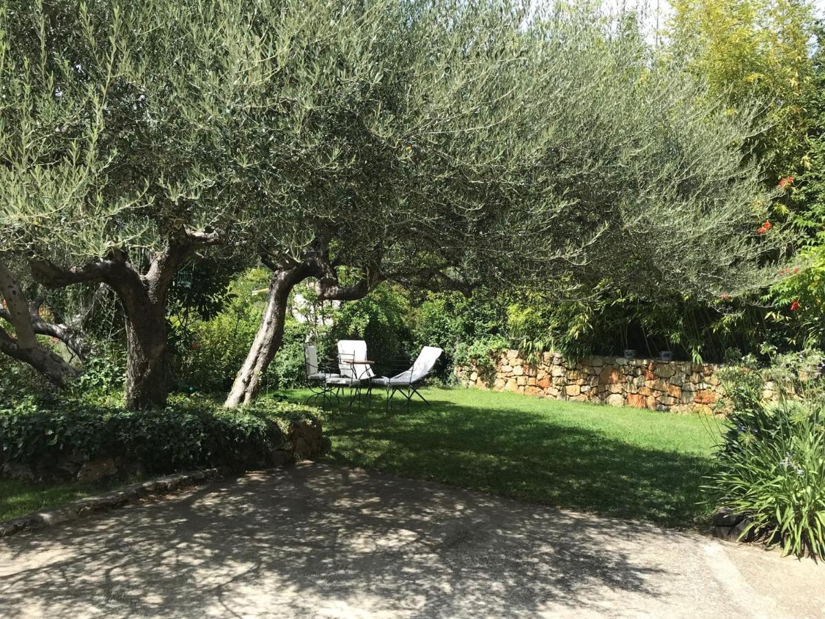 Chambre D'Hotes "La Cabriere" Salernes Buitenkant foto